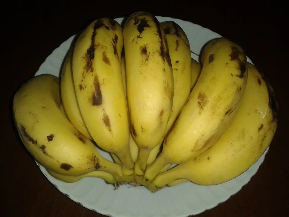 皿にのせた、茶色い斑点の出た熟したバナナの房